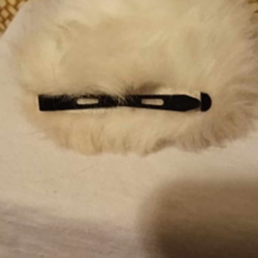 Wolf Ears - Picture 3 of 4